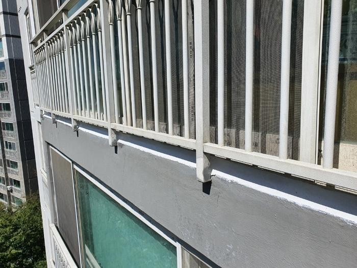235149625_ikTbcGdp_03c17a9c6483c3843e0c596bd8c1af59d6bbb565.jpg 이미지크게보기