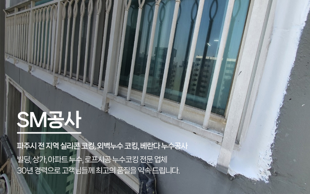 20250226160159_Q7GPLp3j.jpg_carousel_파주시코킹업체 파주시실리콘코킹업체 파주외벽누수코킹업체 SM공사_파주시코킹업체,파주시실리콘코킹업체,파주외벽누수코킹업체,파주베란다누수공사,창틀누수공사,빌딩,상가,아파트누수,발코니샷시코킹,로프시공,전문업체,SM공사